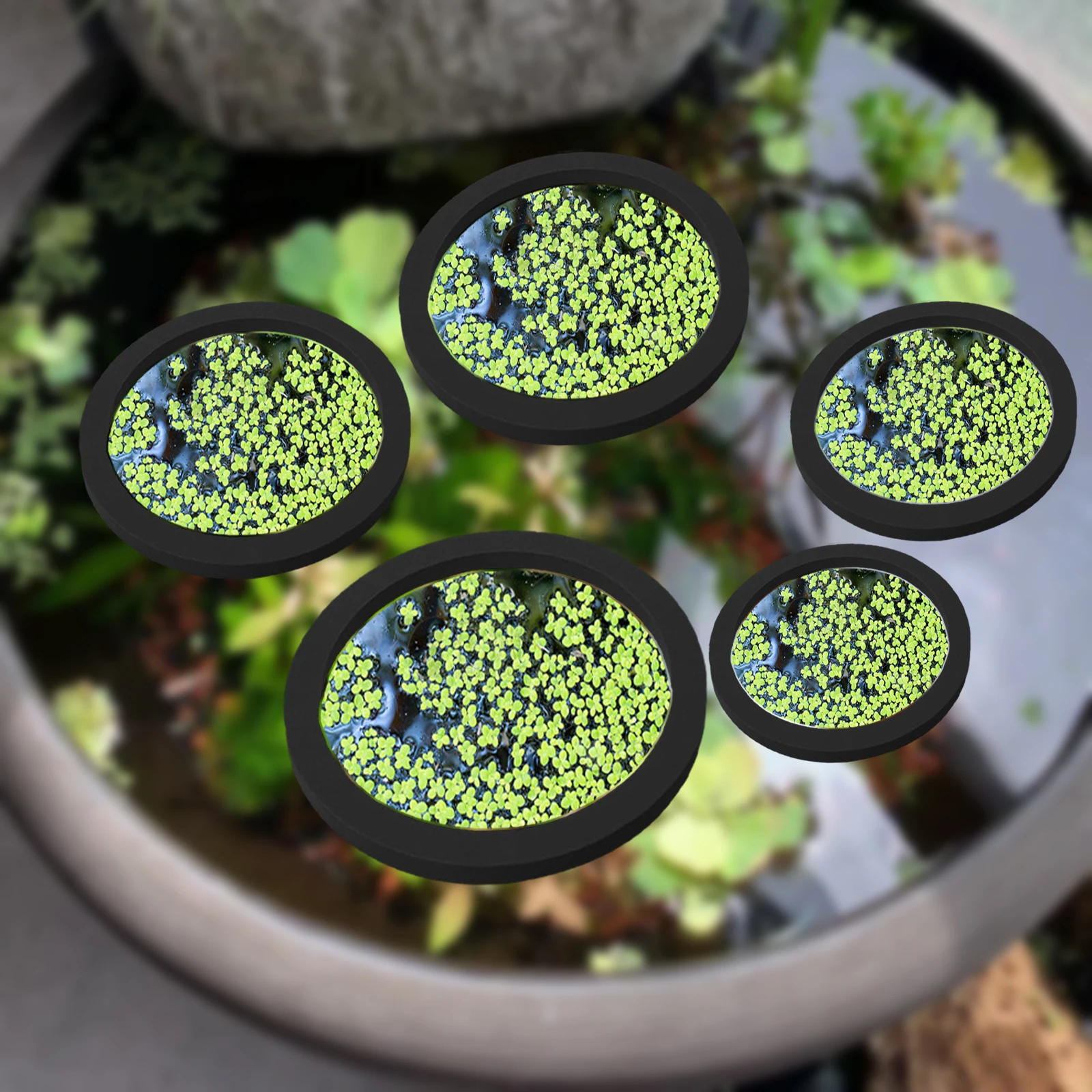 Aquarium Fish In Pond - 5Pcs EVA Fisch Fütterung Ring Aquarium