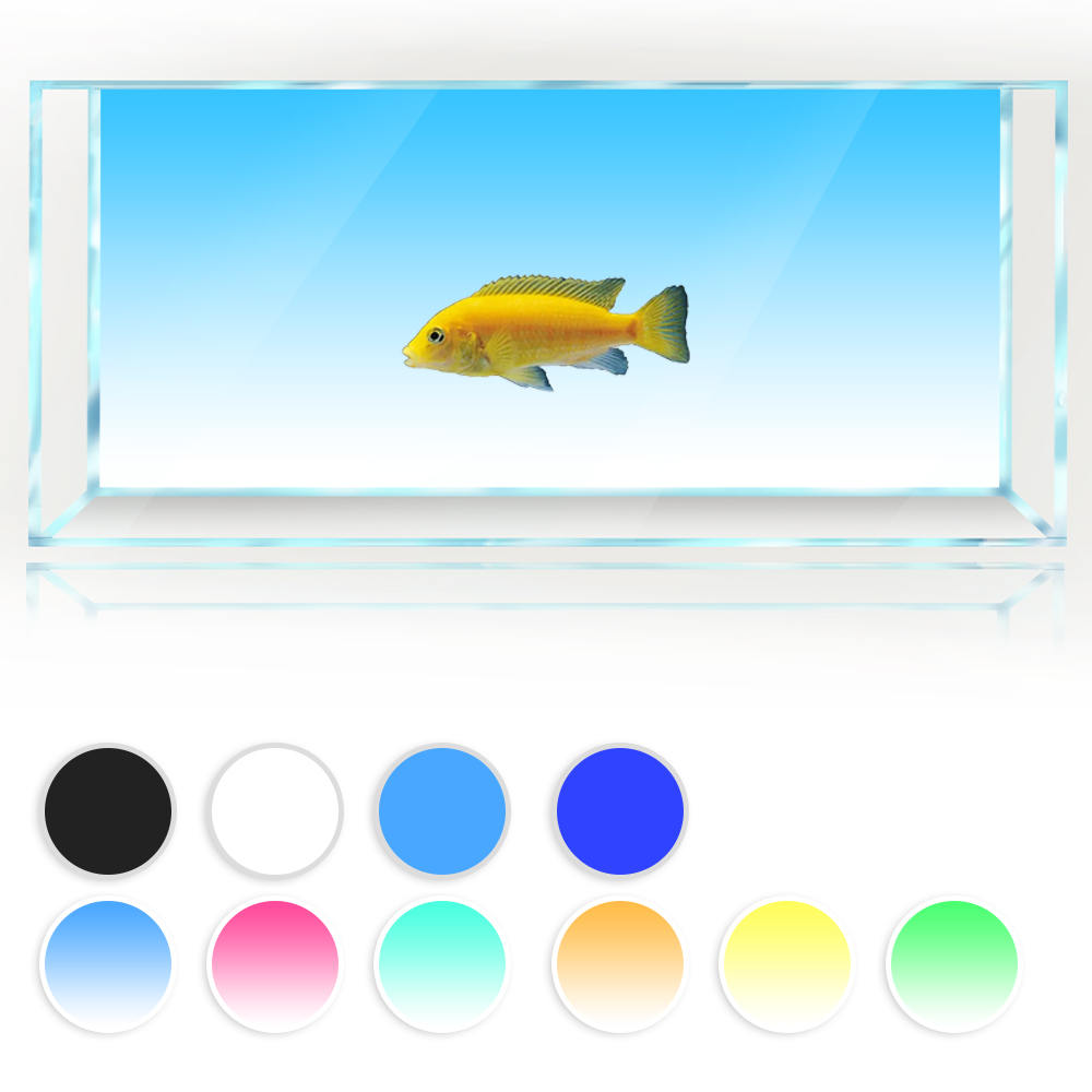 Aquarium Hintergrund Weiß Gelb – Aquarium Fish Yellow And Black Bewertung und Preis