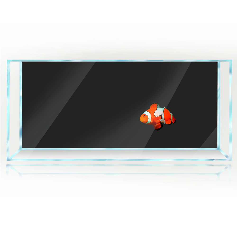 Aquarium Hintergrund Weiß Gelb – Aquarium Fish Yellow And Black Bewertung und Preis