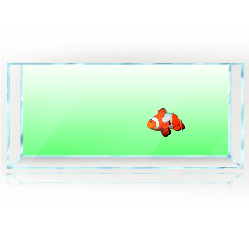 Aquarium Hintergrund Weiß Gelb – Aquarium Fish Yellow And Black Bewertung und Preis