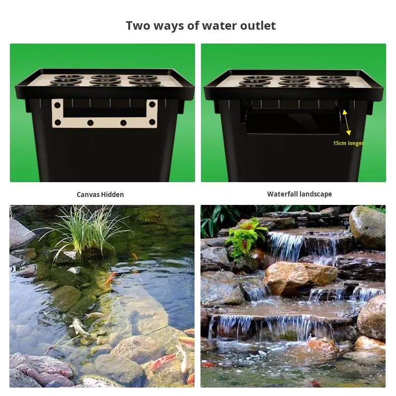 Direkt vom Hersteller: Outdoor – Aquarium Fish In Pond Bewertung und Preis