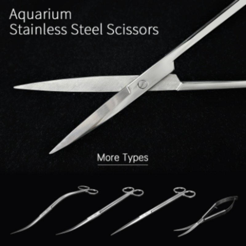 Week Aqua Edelstahl Aquatische – Aquarium Fish Quarantine Bewertung und Preis