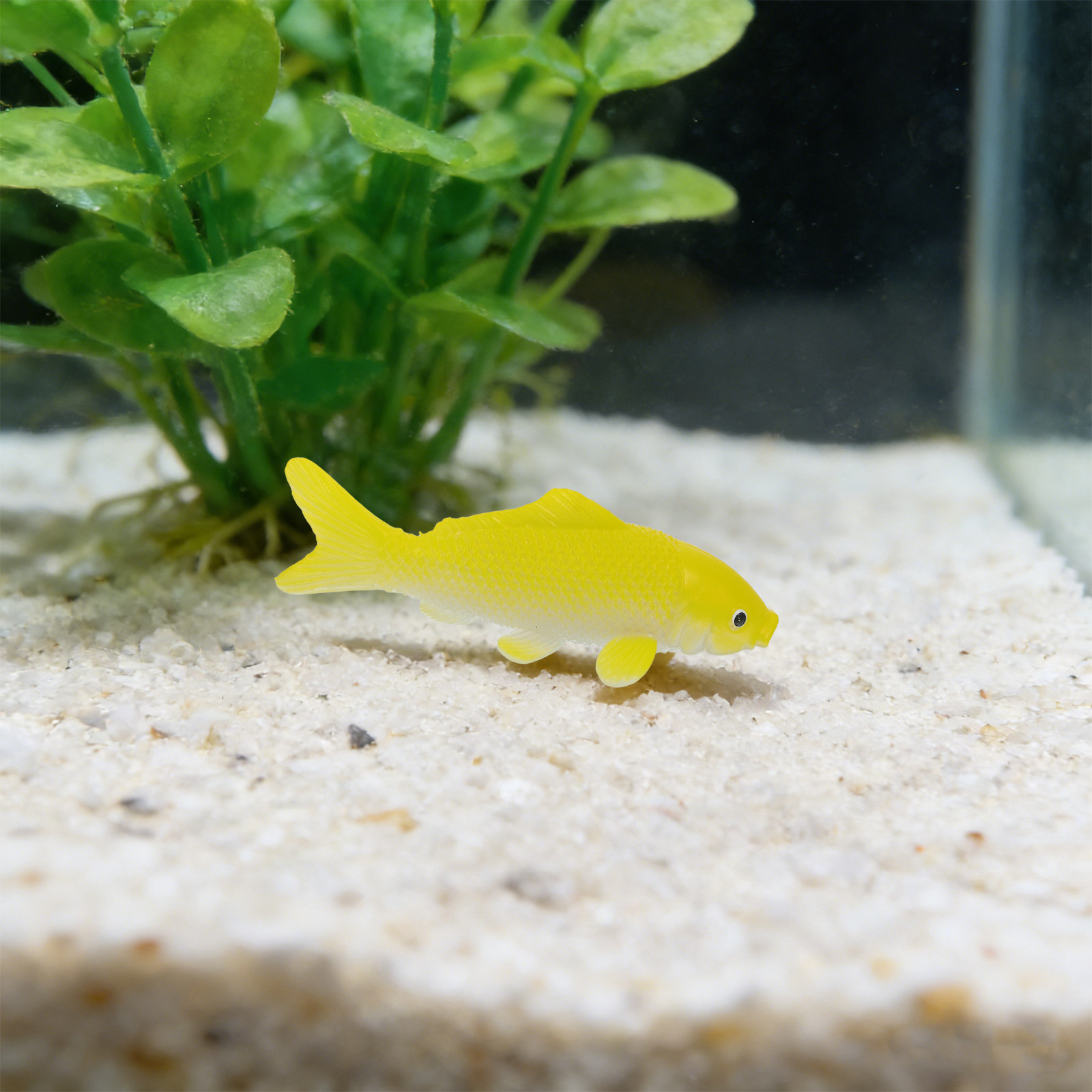 3-teiliges Fisch-Kunsthandwerk – Aquarium Fish In Pond Bewertung und Preis