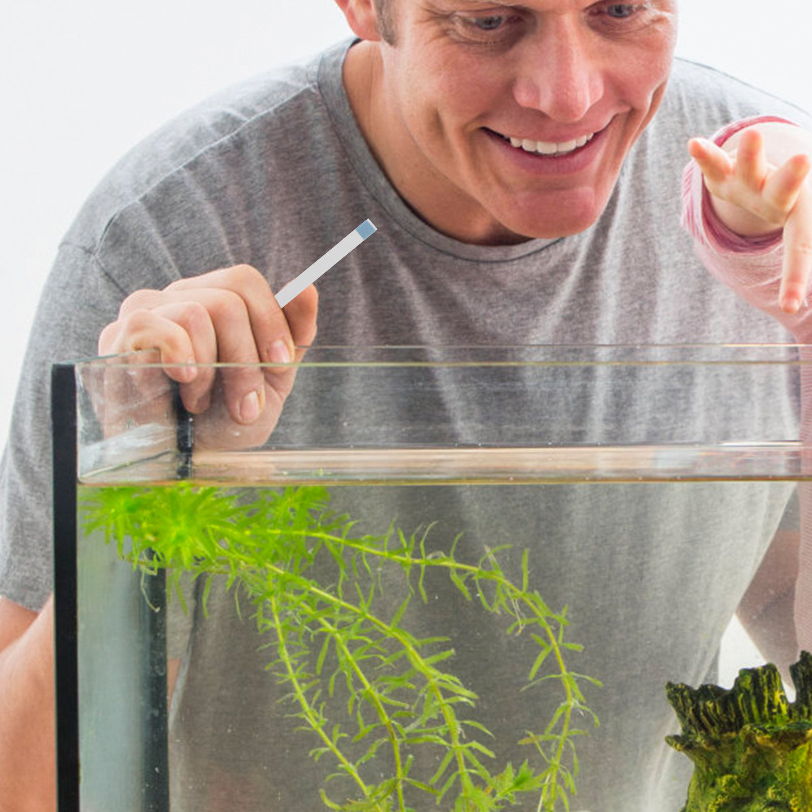 Schwimmbad-Teststreifen, Whirl – Aquarium Fish In Pond Bewertung und Preis