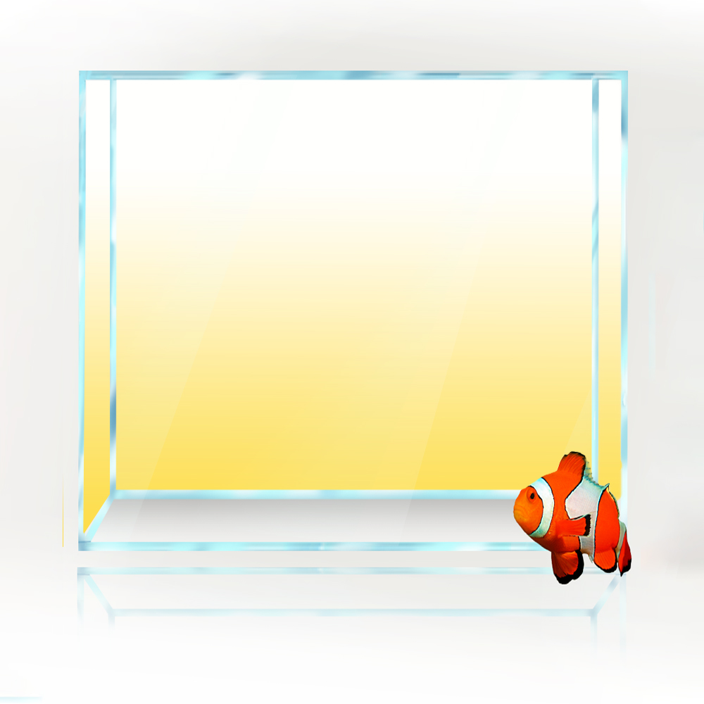 Quadratischer Aquarium-Hinterg – Aquarium Fish Yellow And Black Bewertung und Preis