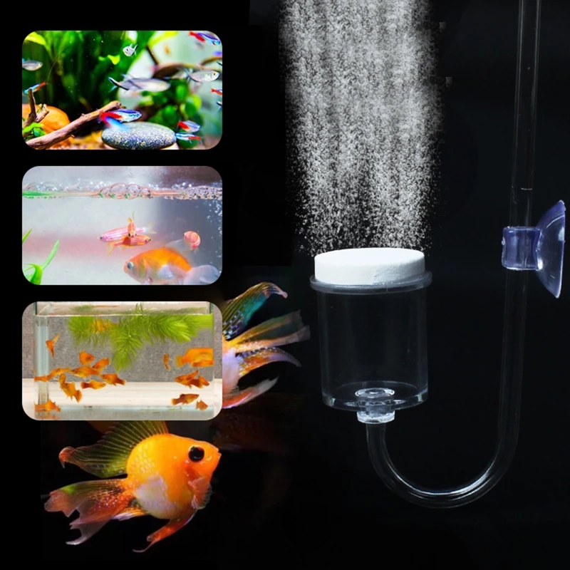 4 stücke Set DIY CO2-Diffusor  – Aquarium Fish Quarantine Bewertung und Preis